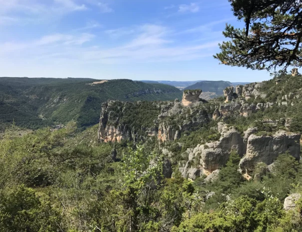 paysage-les-distinguees-aveyron