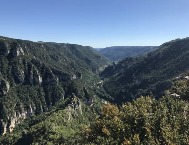 paysage-montagne-vallee-vue-les-distinguees-aveyron