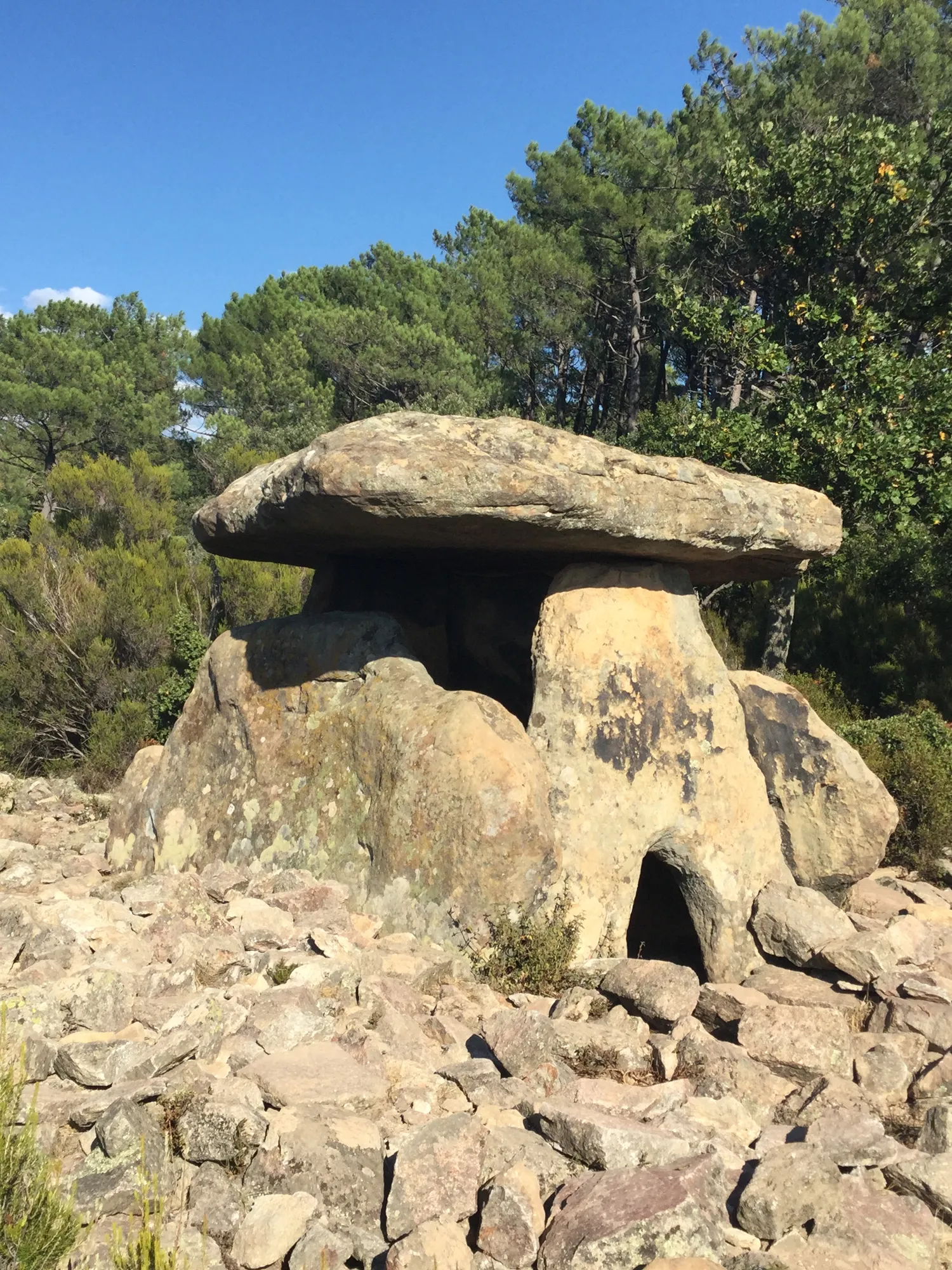 Les Distinguées - Dolmen