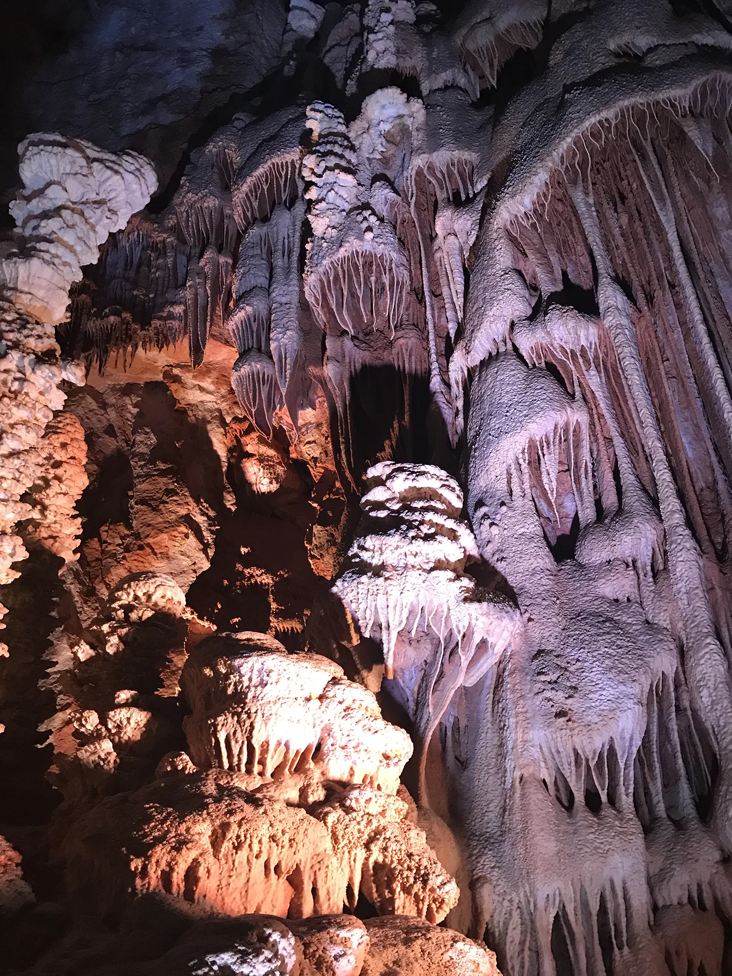 Les Distinguées - Grottes.-webp