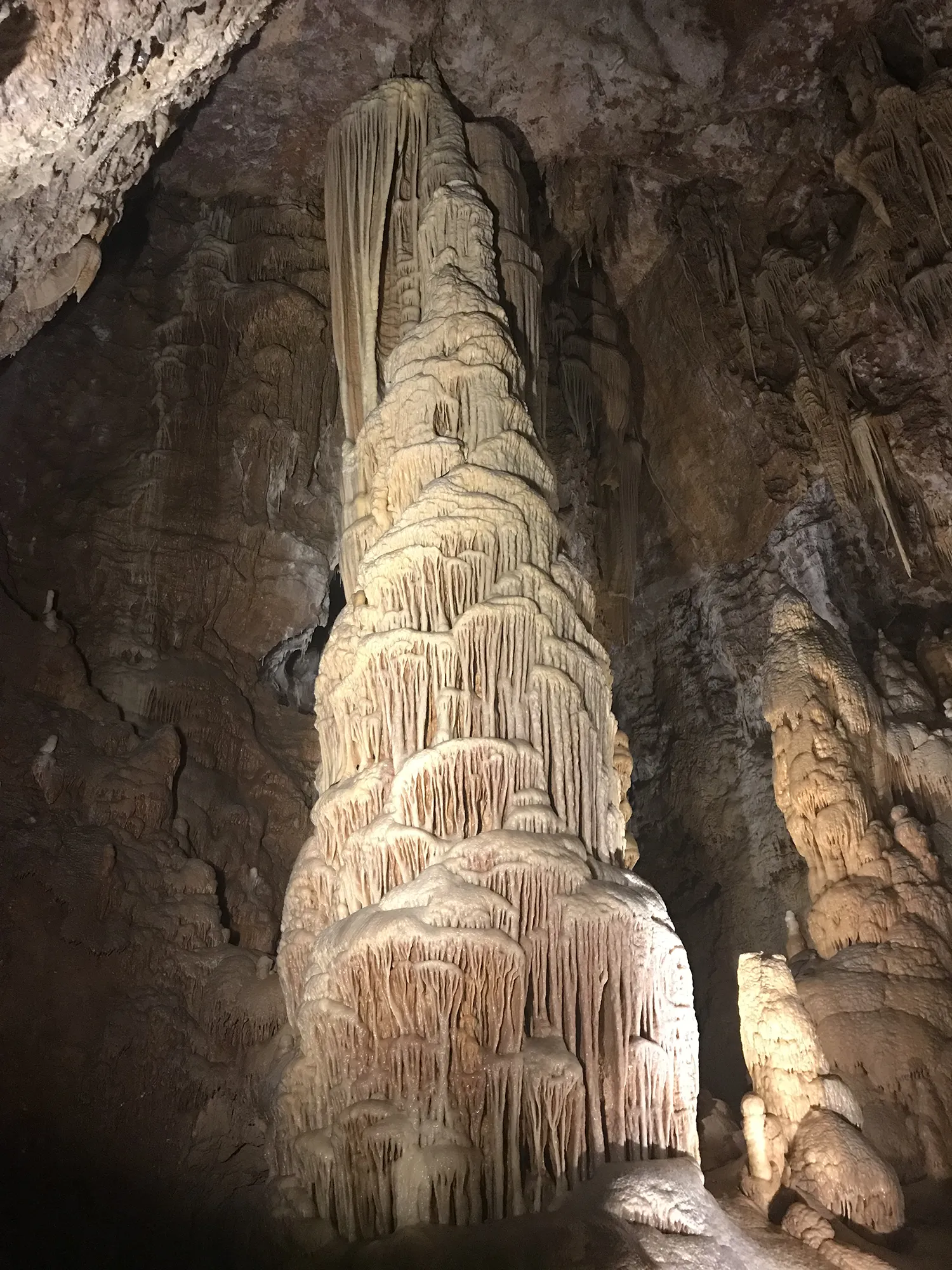 Les Distinguées - Grottes