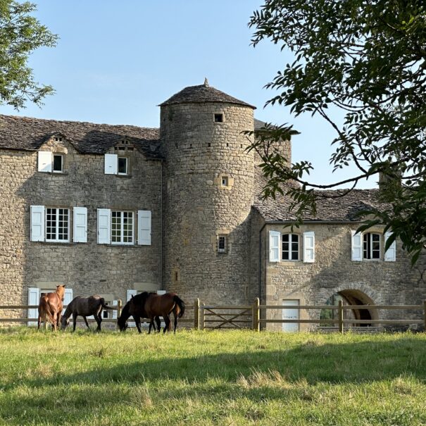 Le Manoir de Bessodes